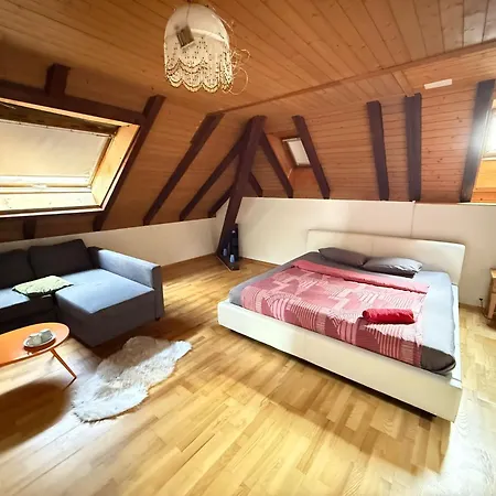 Near The Station Apartament Bolligen