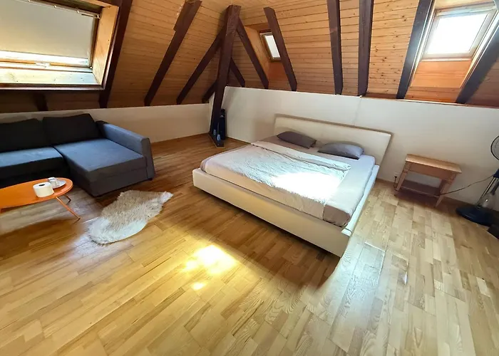 Apartament Near The Station Bolligen