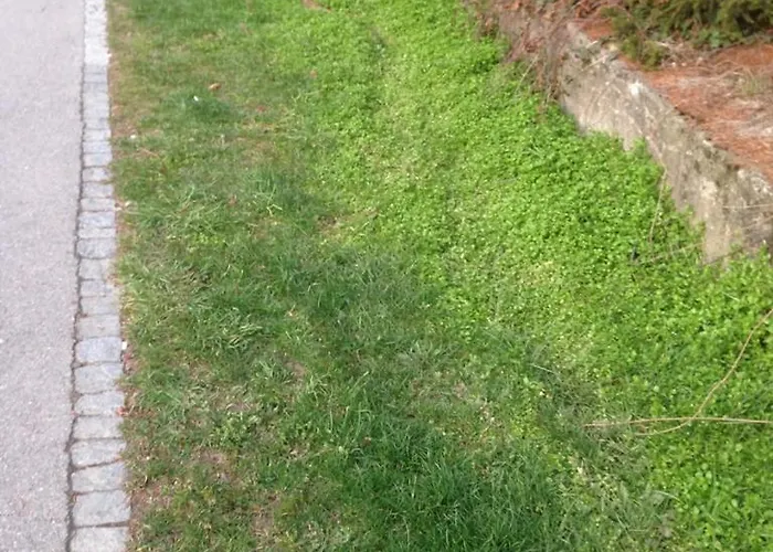 Near The Station
